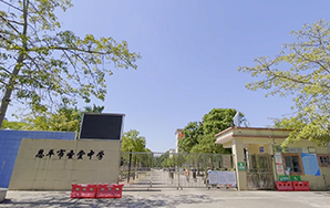 恩平市聖堂中學戶外擴聲系統