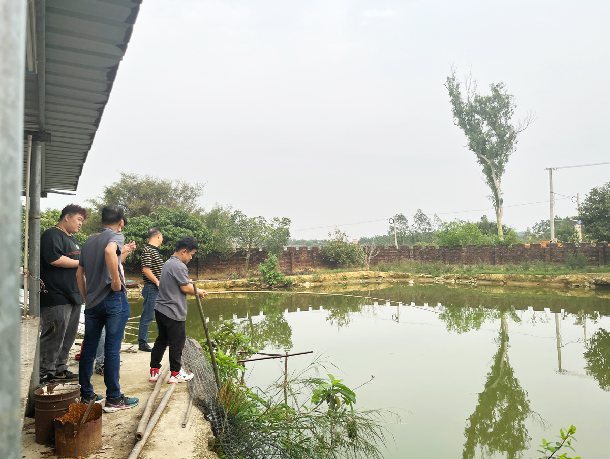托頓團建活動