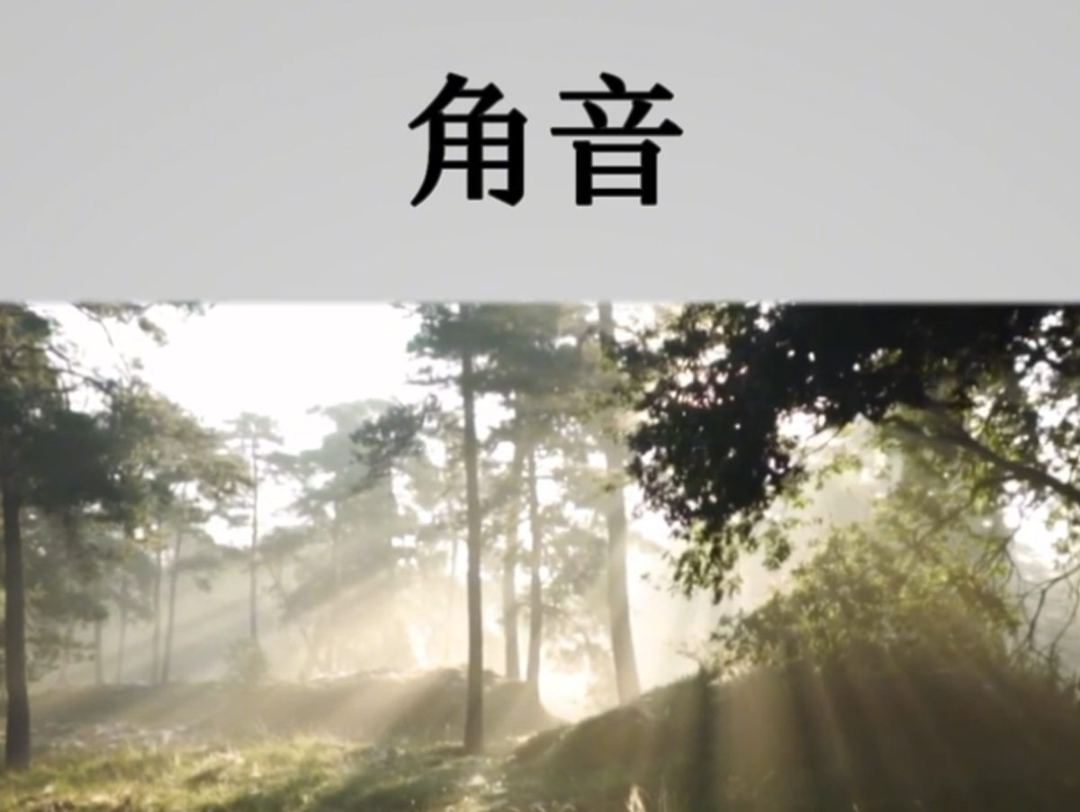 角音