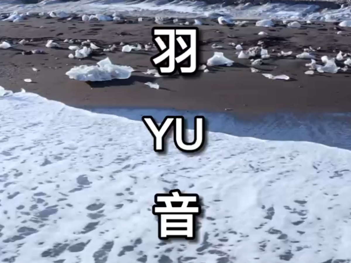 羽音